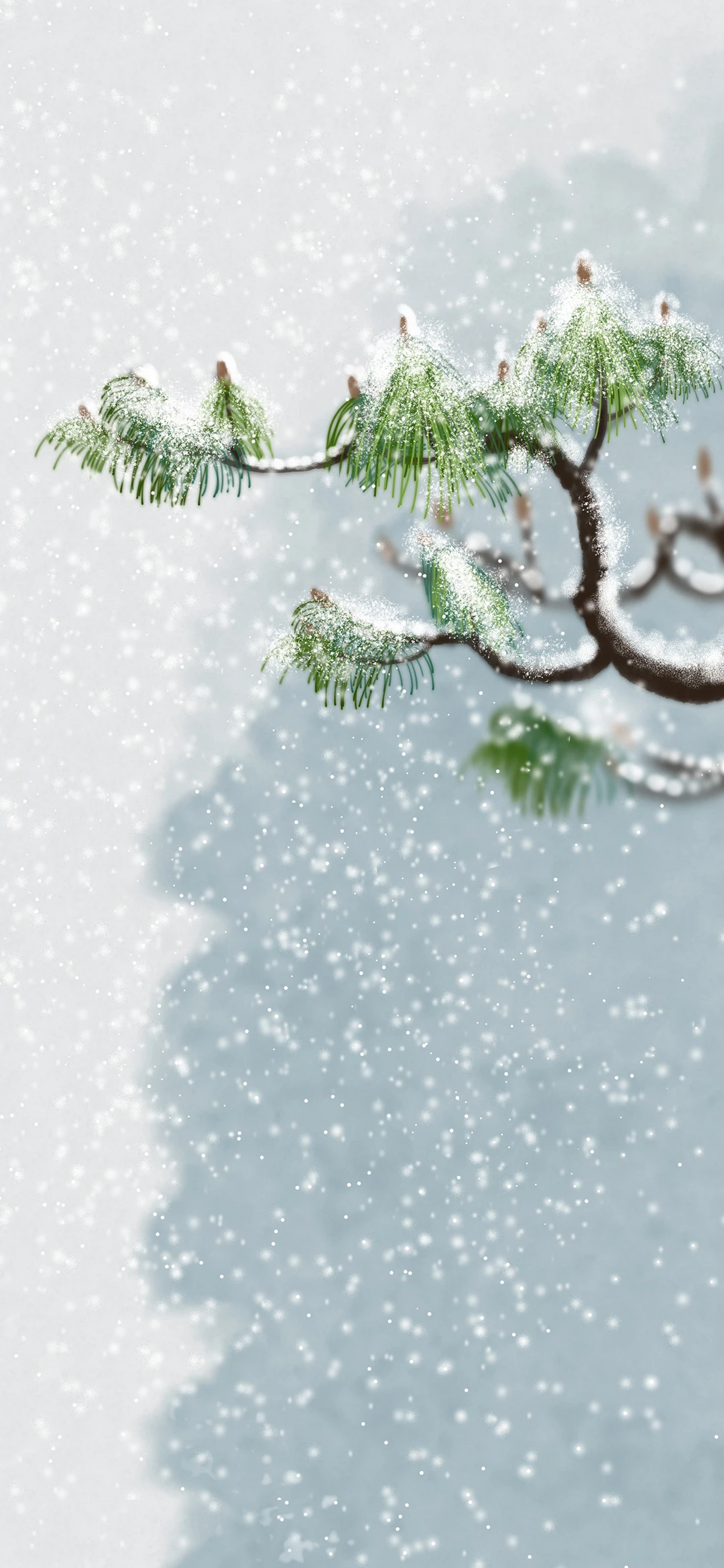 七月份壁纸(清凉系)